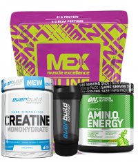 PROMO STACK PROTEINA + CREATINA + AMINO + shaker sala