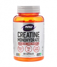 NOW Creatine Monohydrate 750mg. / 120 Tabs.