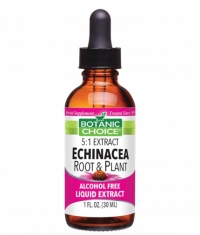 BOTANIC CHOICE Echinacea Root & Plant / 30 ml