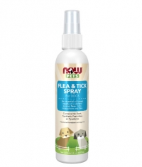 NOW Flea & Tick Spray for Dogs / 237 ml