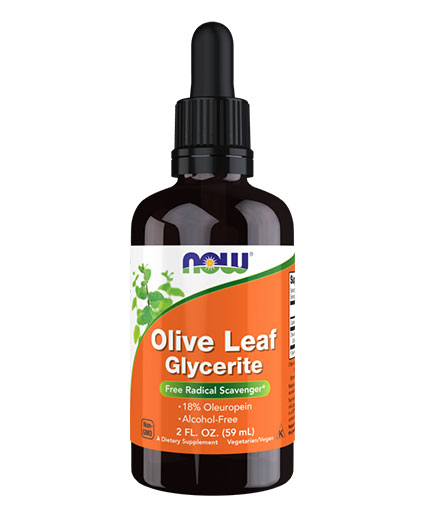 NOW Olive Leaf Glycerite 18% Liquid / 59 ml