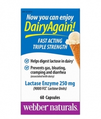 WEBBER NATURALS Lactase Enzyme 250 mg / 60 Caps