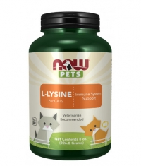 NOW PETS L-Lysine for CATS