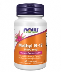 NOW Methyl B-12 500mcg / 60 Loz.