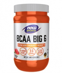 NOW BCAA Big 6 Powder