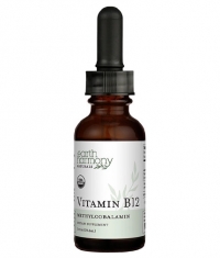 EARTH HARMONY Vitamin B12 (Methylcobalamin) 2000 µg / 29.6 ml