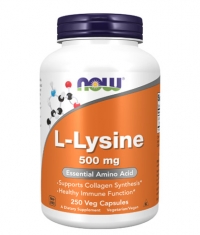 NOW L-Lysine 500 mg / 250 Caps