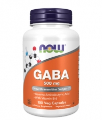 NOW GABA + B-6 / 500mg. / 100 Caps.